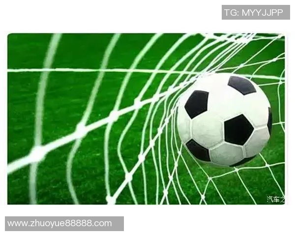 西安羽毛球队的训练节奏与技战术深度解析探秘之旅